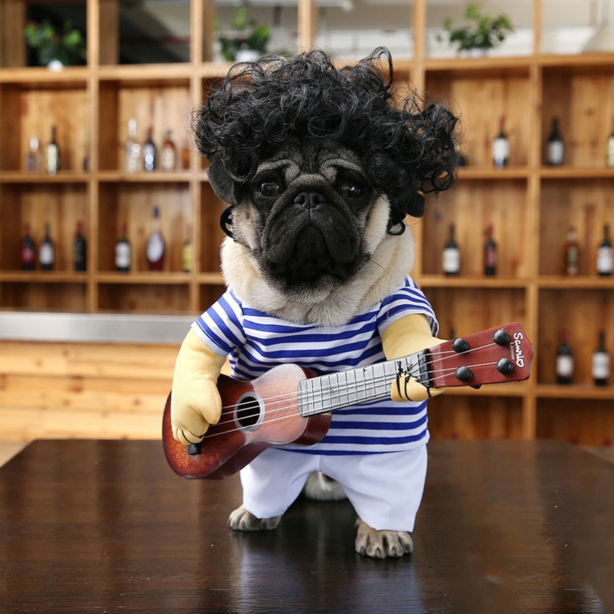 Pet Clothes Guitar Transformation Costume Funny Quirky Clothes New Halloween Dog Clothes Autumn Winter Style