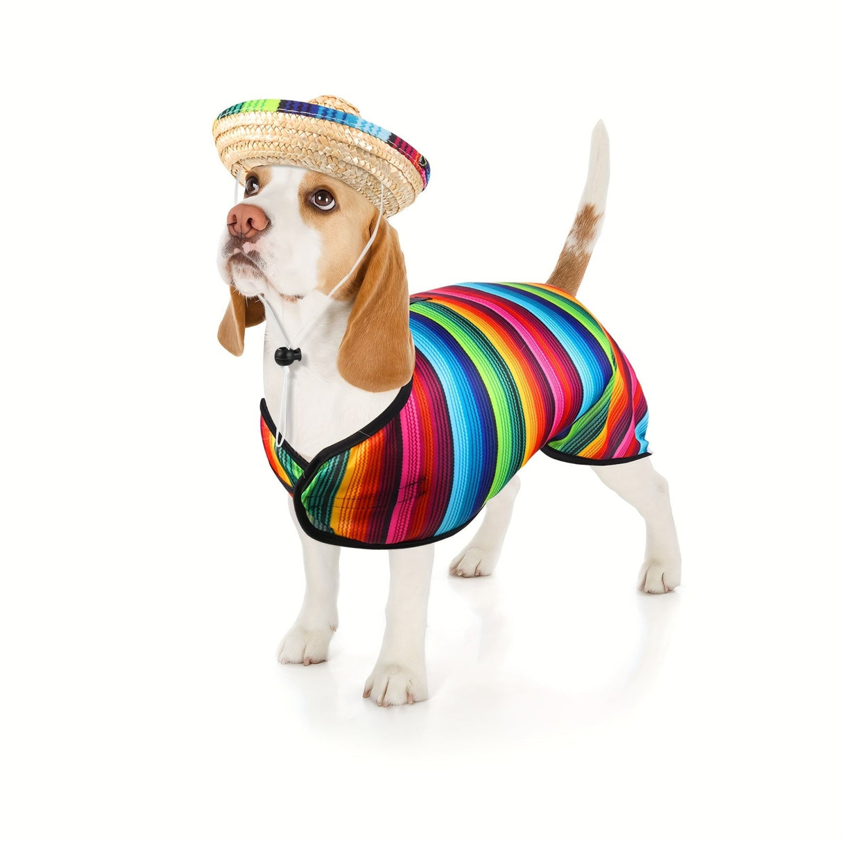 Dog Sombrero Hat Pet Serape Poncho Costume Funny Dog Costume Multicolor Adjustable Mexican Dog Straw Hat Chihuahua Clothes (Small)