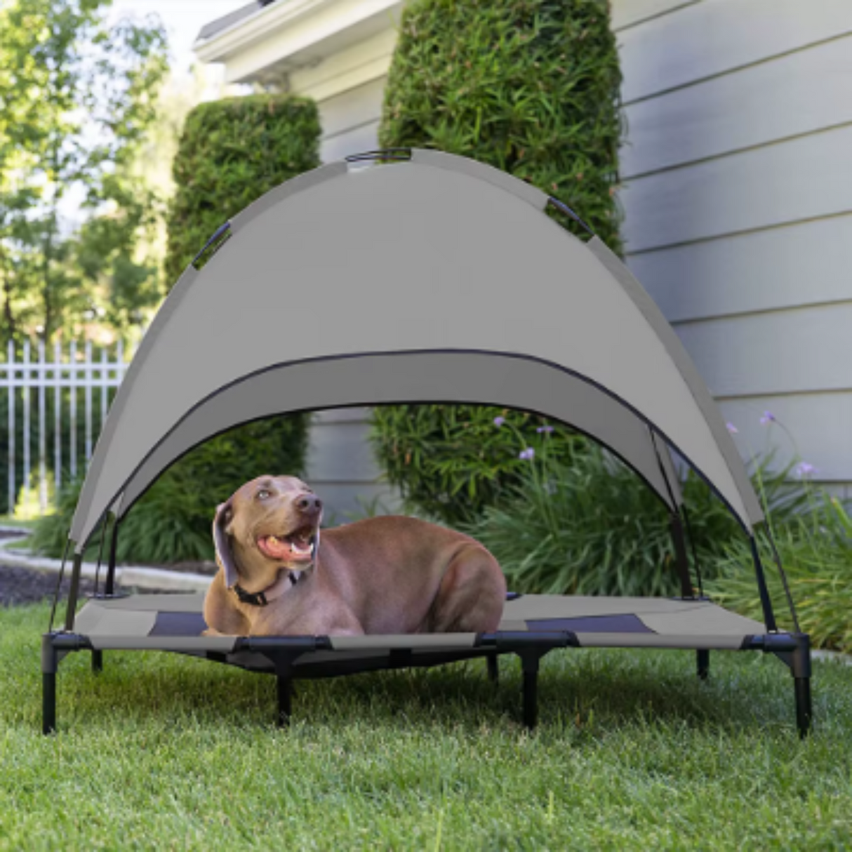 Raised Pet Bed With Canopy Portable Dog Camp Tent Raised Dog Bed With Sun Canopy Camp Tent For Dogs Cats Outdoor Camping