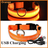 Collar antipérdida para perros de noche, luz LED de carga USB, collar con luz ajustable, luz nocturna de seguridad suave, intermitente, suministros para mascotas