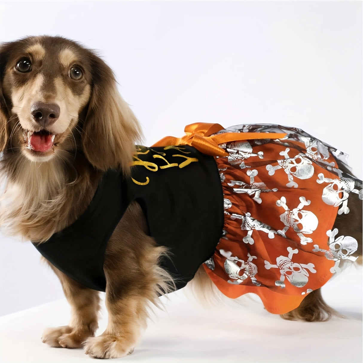 Funny Dog Halloween Tulle Dress, Holiday Dog Clothes For Small Dogs Girl, Funny Pirate Skull Pet Costume, Witch Cat Outfit