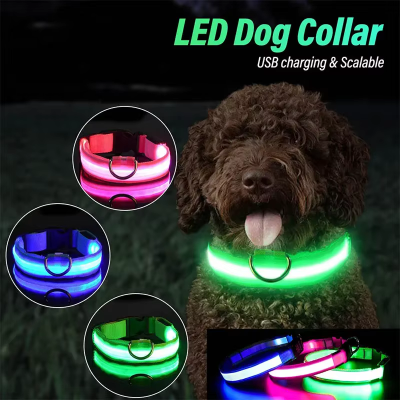 Collar antipérdida para perros de noche, luz LED de carga USB, collar con luz ajustable, luz nocturna de seguridad suave, intermitente, suministros para mascotas