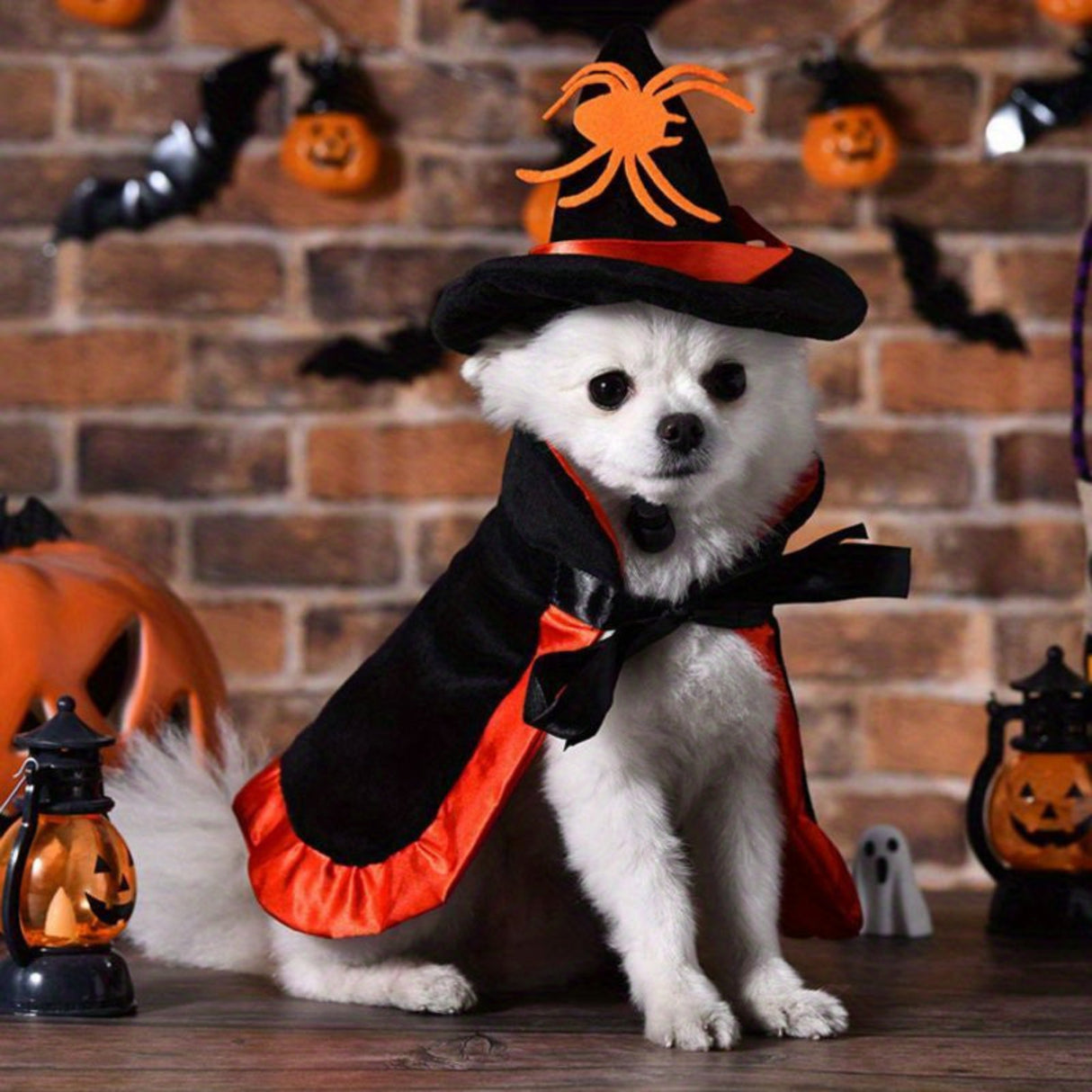 Halloween Pet Costume - Cute Wizard Outfit with Black Hat & Cape, Soft Polyester Costume for Small Dogs, Puppies, Cats - Easy-to-Wear Halloween Party Costume for Trick-or-Treat, Photo Shoots - Perfect for Halloween Celebratio