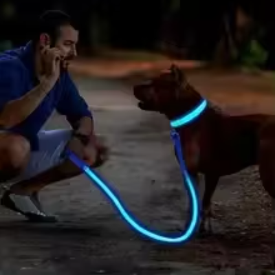 Collar antipérdida para perros de noche, luz LED de carga USB, collar con luz ajustable, luz nocturna de seguridad suave, intermitente, suministros para mascotas