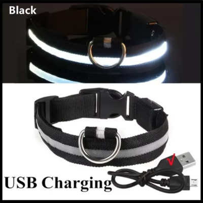 Collar antipérdida para perros de noche, luz LED de carga USB, collar con luz ajustable, luz nocturna de seguridad suave, intermitente, suministros para mascotas