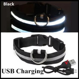 Collar antipérdida para perros de noche, luz LED de carga USB, collar con luz ajustable, luz nocturna de seguridad suave, intermitente, suministros para mascotas