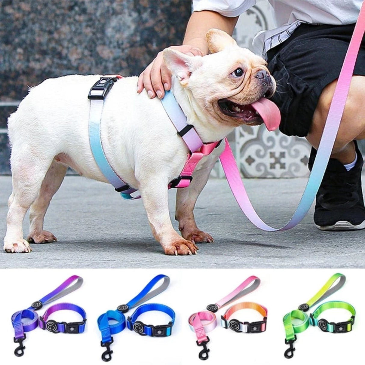 Collar de perro con degradado de color a la moda, correa, arnés, productos para mascotas, cadena para perros pequeños, medianos y grandes, apto para primavera, verano y otoño