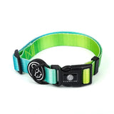 Fashion Gradient Color Dog Collar Leash Harness Pet Products Chain Small Dog Medium Large Fitting Spring Summer Autumn