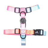 Fashion Gradient Color Dog Collar Leash Harness Pet Products Chain Small Dog Medium Large Fitting Spring Summer Autumn