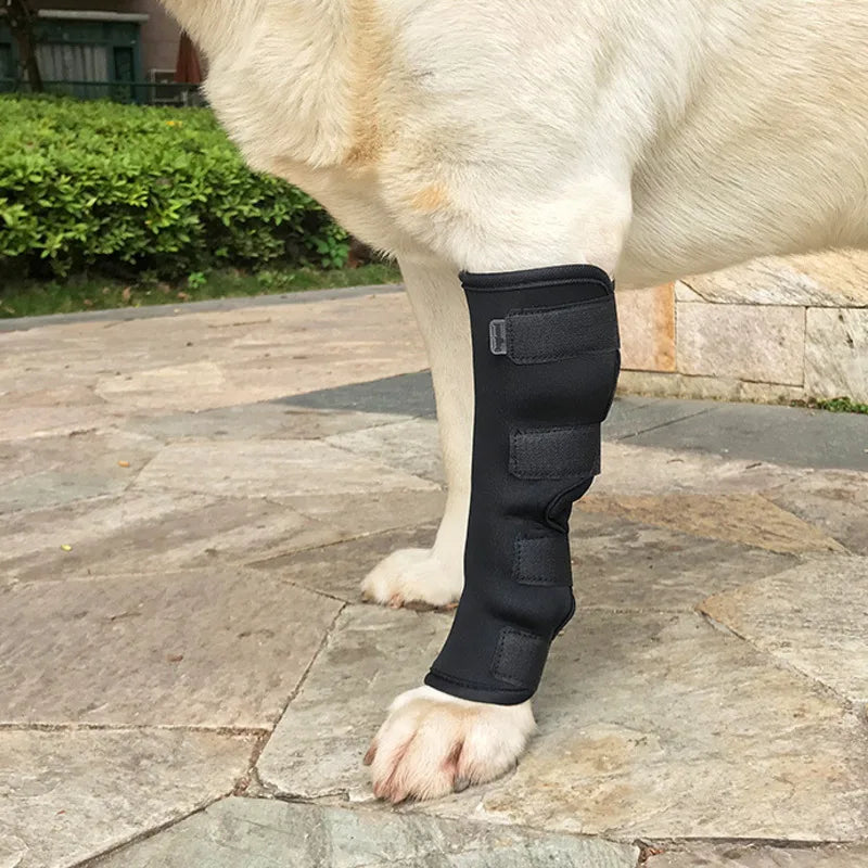 Pet Dog Bandages Dog Injurie Leg Knee Brace Strap Protection For Dogs Joint Bandage Wrap Doggy Medical Supplies Dogs Accessories