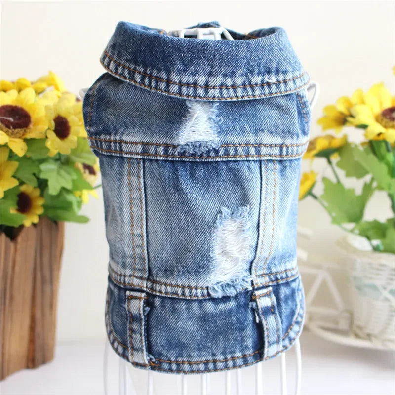 Spring Denim Dog Vest Shih Tzu Clothes for Small Dogs Yorkshire Terrier Puppy Jeans Jacket for Chihuahua Apparel Cat Clothes
