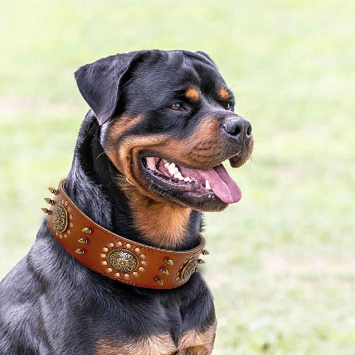 Collar de cuero duradero con tachuelas y pinchos para perros, ajustable para perros medianos y grandes, Pitbull L XL 