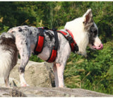 Arnés tipo mochila extraíble para perros, chaleco reflectante para mascotas al aire libre, arneses para viajes, acampadas, senderismo, perros medianos y grandes, bolsas de sillín