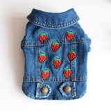 Spring Denim Dog Vest Shih Tzu Clothes for Small Dogs Yorkshire Terrier Puppy Jeans Jacket for Chihuahua Apparel Cat Clothes