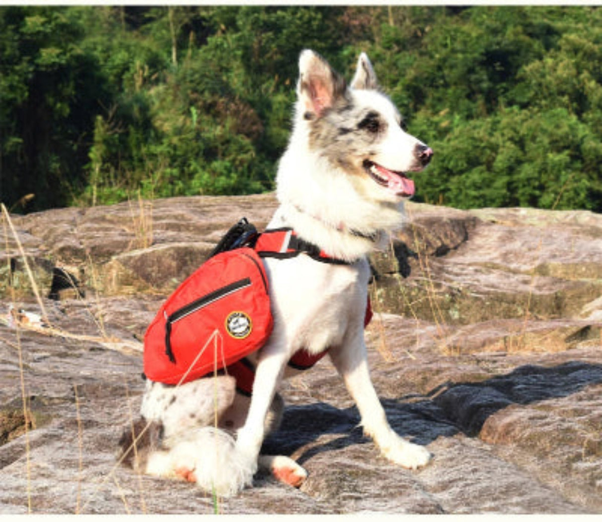 Removable Dog Backpack Harness Reflective Outdoor Pet Vest Harnesses Travel Camping Hiking Medium Large Dogs Saddle Bags