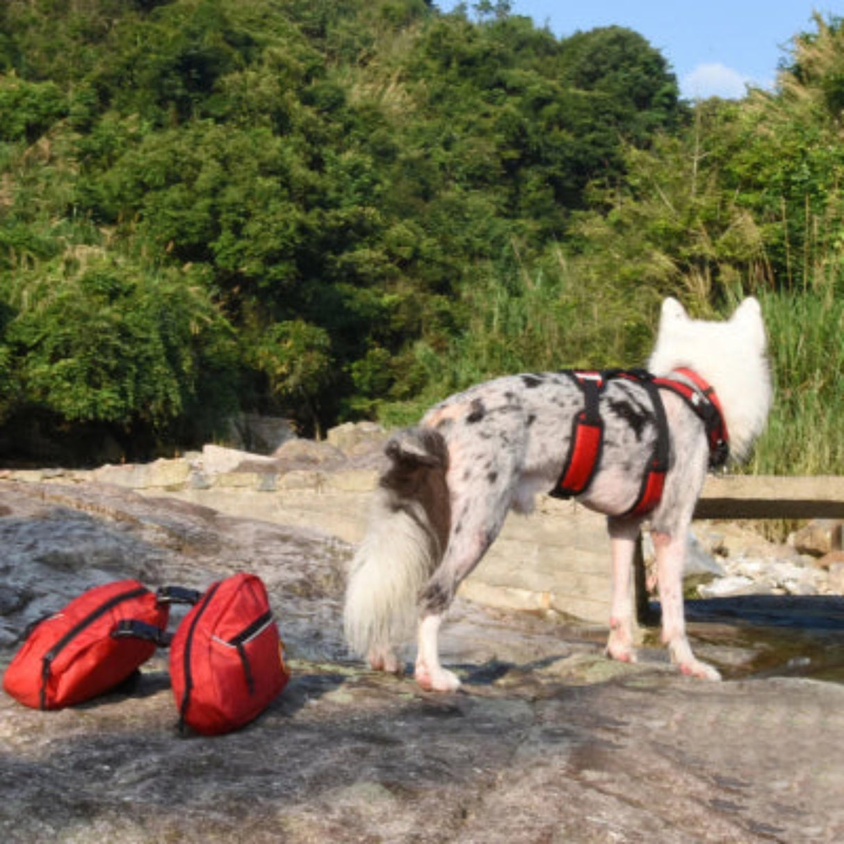 Arnés tipo mochila extraíble para perros, chaleco reflectante para mascotas al aire libre, arneses para viajes, acampadas, senderismo, perros medianos y grandes, bolsas de sillín