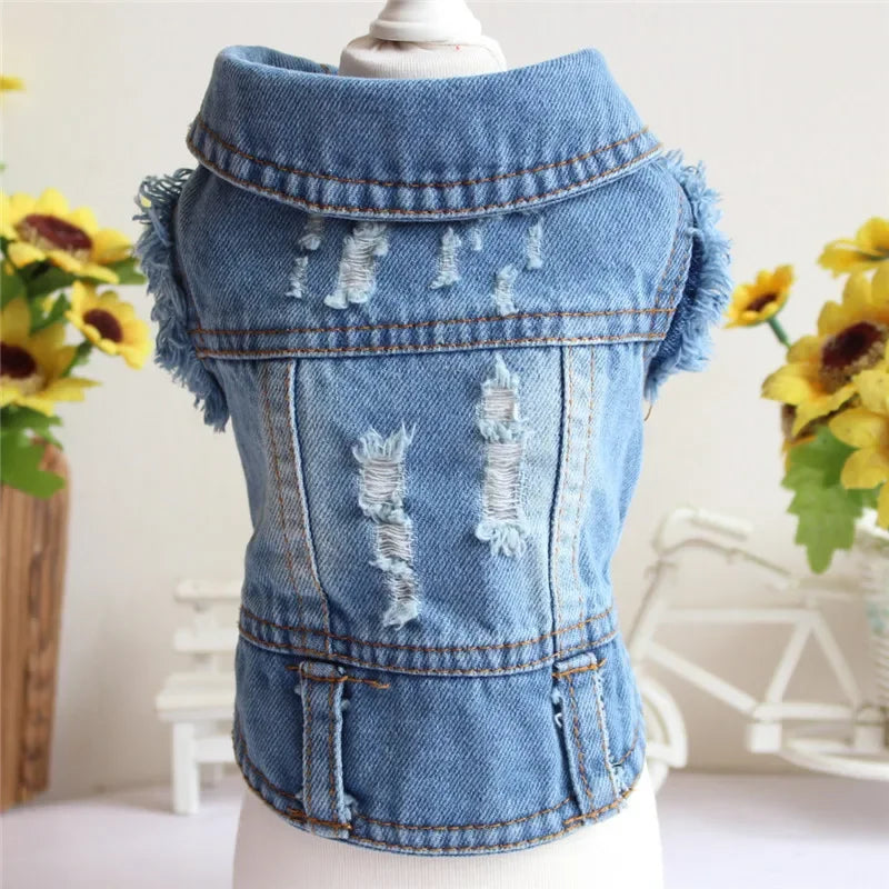 Spring Denim Dog Vest Shih Tzu Clothes for Small Dogs Yorkshire Terrier Puppy Jeans Jacket for Chihuahua Apparel Cat Clothes