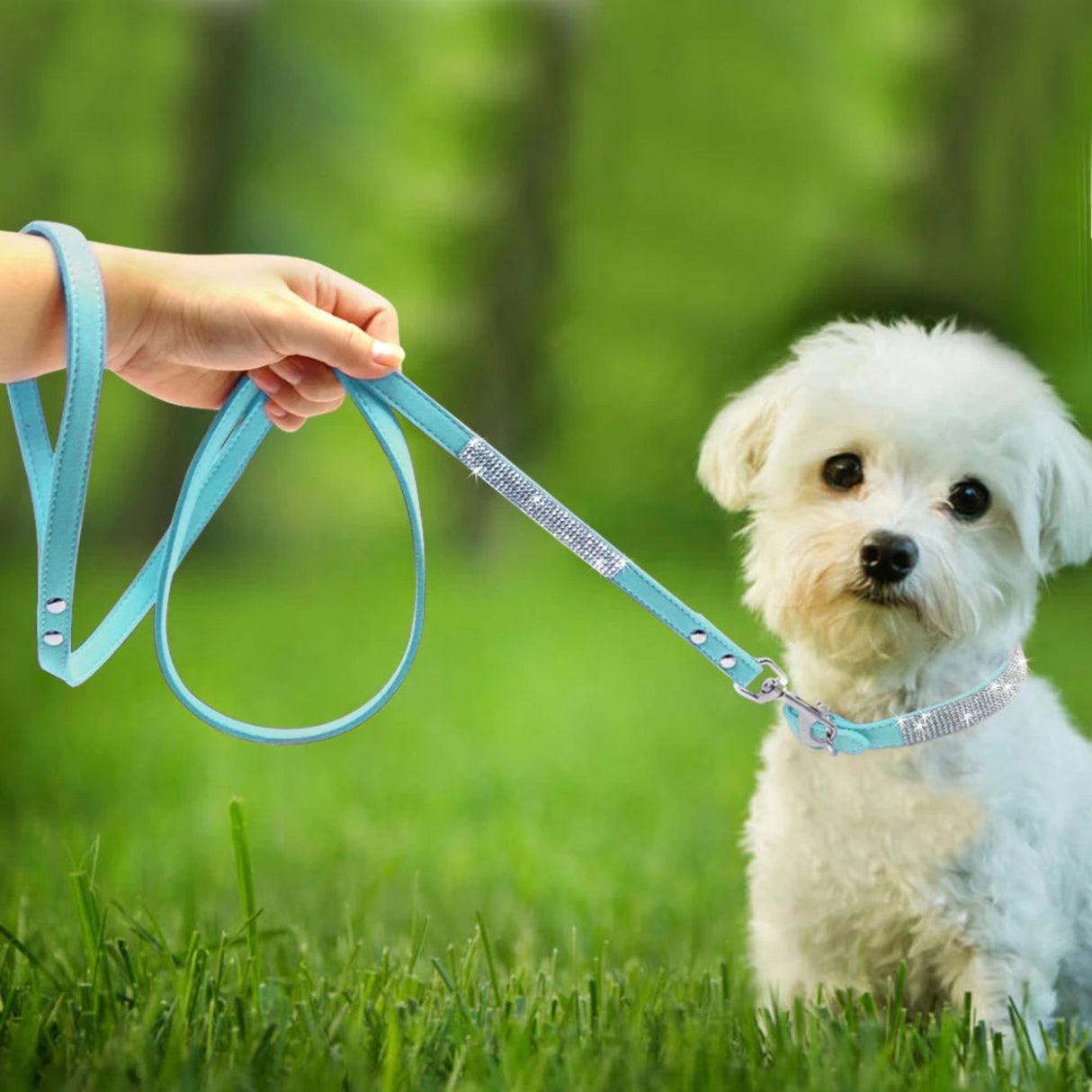 Didog - Juego de collar y correa de piel de gamuza para cachorros y perros, ajustable, con diamantes de imitación, para gatos, correas para caminar para mascotas pequeñas y medianas, talla XS y SM 