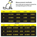 Fashion Gradient Color Dog Collar Leash Harness Pet Products Chain Small Dog Medium Large Fitting Spring Summer Autumn