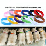 12pcs/set Random Color Dog Newborn Collar Puppy Identification Collar Cat Newborn Baby Supplies Kitten Pit Bull Pets Accessories