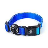 Fashion Gradient Color Dog Collar Leash Harness Pet Products Chain Small Dog Medium Large Fitting Spring Summer Autumn