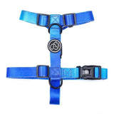 Fashion Gradient Color Dog Collar Leash Harness Pet Products Chain Small Dog Medium Large Fitting Spring Summer Autumn