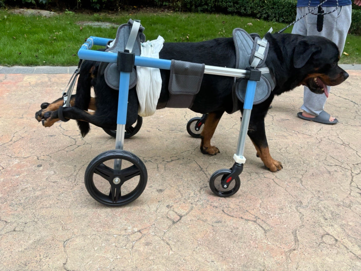 Silla de ruedas para perros, rehabilitación de parálisis de miembros posteriores, ayuda para la movilidad de cachorros mayores, asistencia para ositos de peluche y mascotas discapacitadas