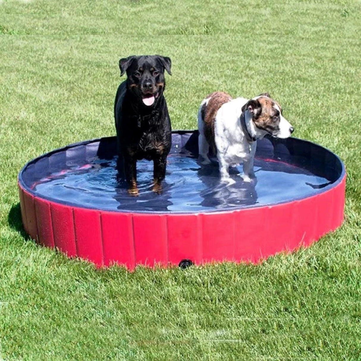 Pet Bathtub Foldable Swimming Pool Dog Bathtub Large Dog Special Drainage Bathtub Heightened Swimming Pool Cat