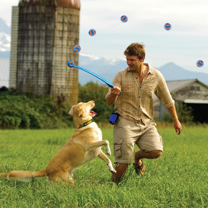 Pelota de goma interactiva para caminar con voz de Petmate para perros Border Collie