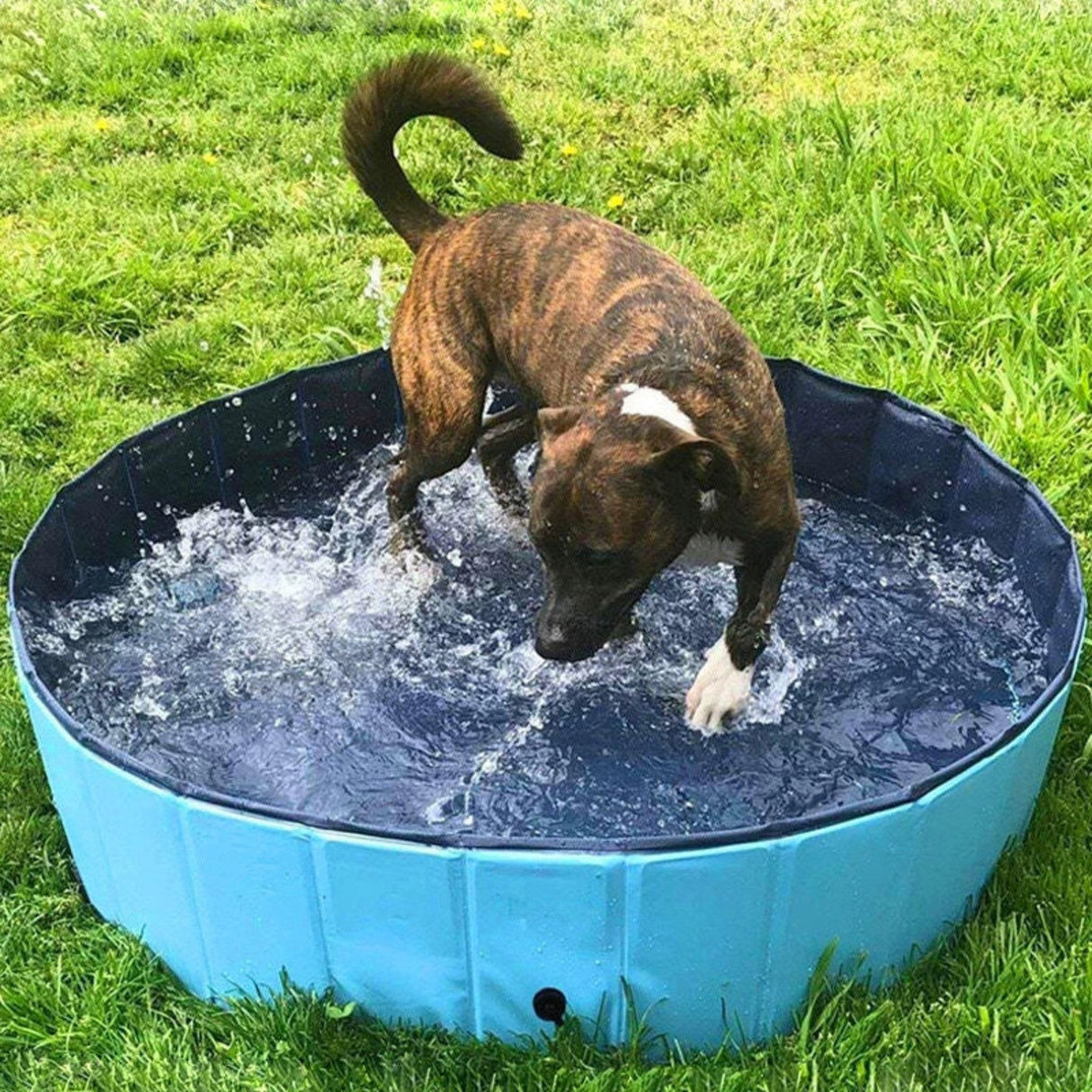 Bañera para mascotas Piscina plegable Bañera para perros Bañera para perros grandes Bañera de drenaje especial Piscina elevada para gatos