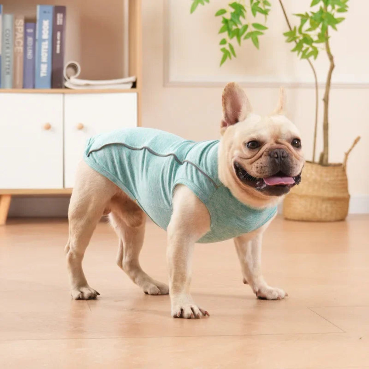 Camiseta reflectante para perros, camiseta de poliéster suave, chaleco para cachorros, ropa de primavera para perros pequeños, medianos y grandes, camiseta de bulldog francés, ropa para mascotas