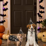 Cool Pumpkin Pet Halloween Costumes Cape Bat Adjustable Cats Cosplay Clothes Soft Black Halloween Dog Cloak Hat Dogs