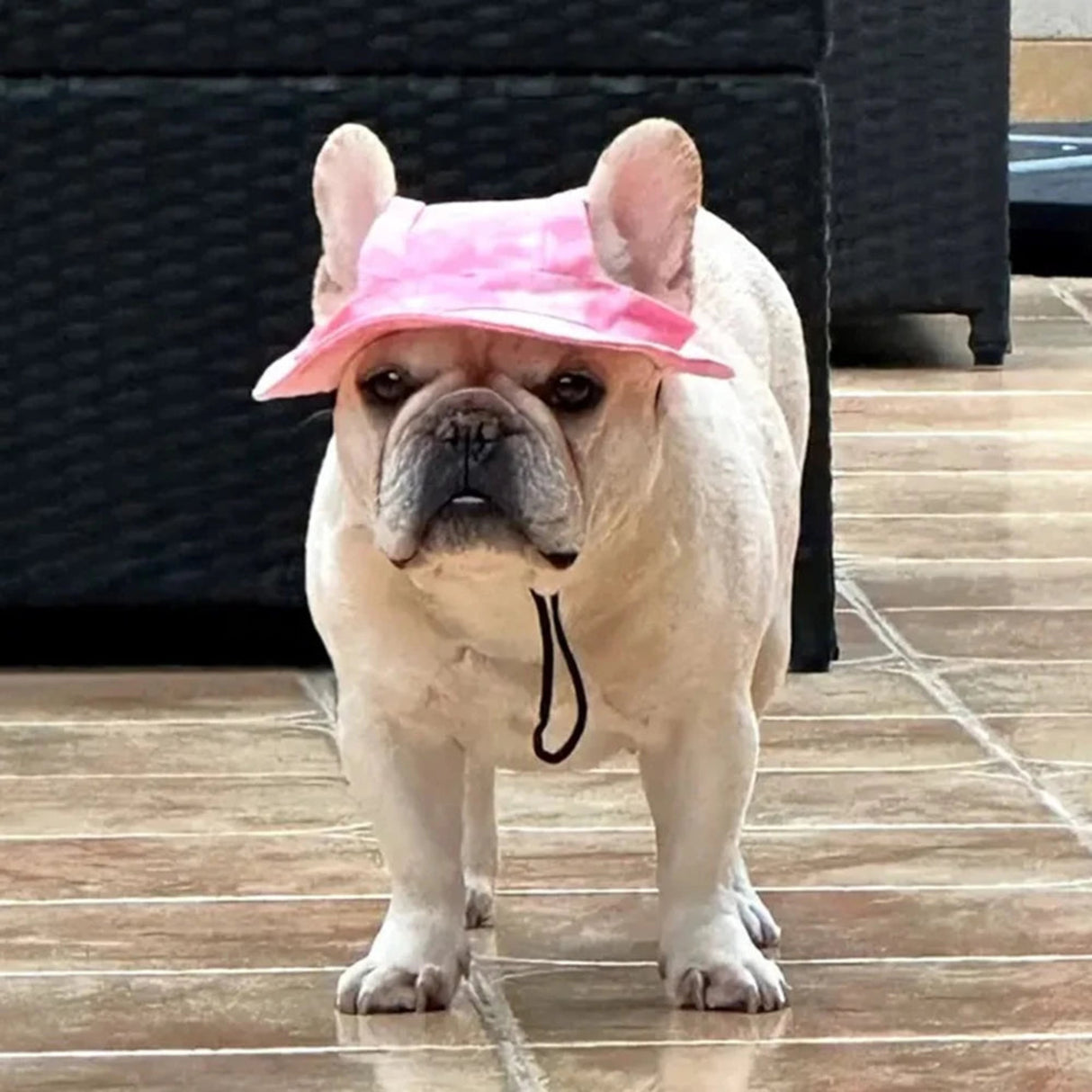 Lindos sombreros para mascotas de bulldog francés con orificios para las orejas, gorra ajustable para cachorros, sombrero para perros pequeños y medianos, accesorios para mascotas Pug, disfraz