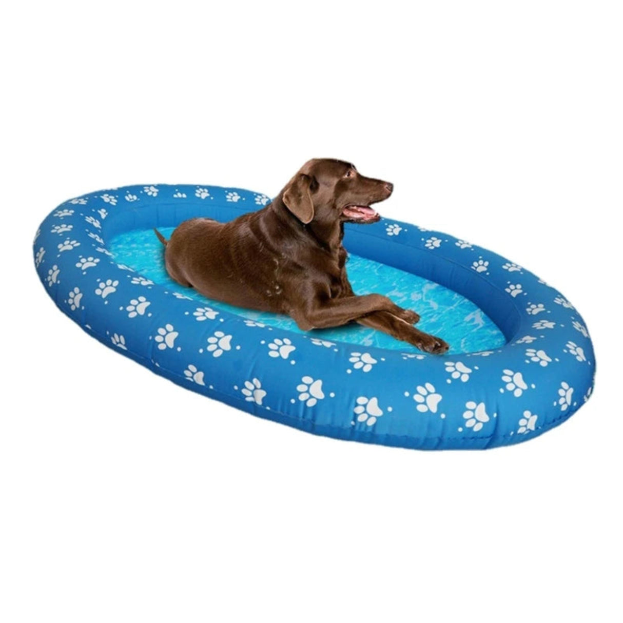 Dog Float for Summer Funny Inflatable Pool Floats Water Toy Swimming Float dropshipping