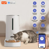 Comedero para mascotas de 4 l con Wi-Fi habilitado para gatos y perros, control mediante aplicación, cuencos de acero inoxidable, alarma de poca comida, Smart Life