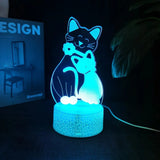 Cheese Cat 3D Illusion Night Light Table Lamp 16 Colors Auto Gradient USB Powered LED Light with Touch Switch Gift for Kids