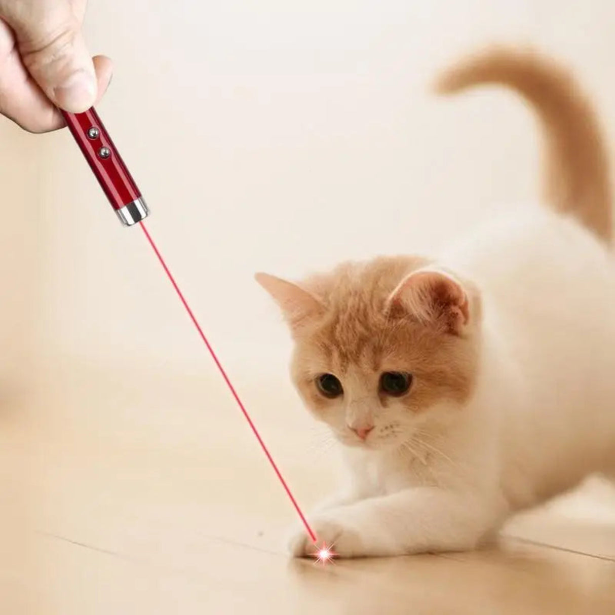 Mini Cat Dog Fun 4mW Pointer Red Light Laser LED Training Torch Pet Toys Pen 2-In-1 Cat Pet Toy Red Laser Light LED Pointer