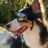 Gafas de sol ajustables para perros, gafas de sol anti-UV, protección para los ojos, gafas de sol negras para perros de uso generalizado, suministros para mascotas 