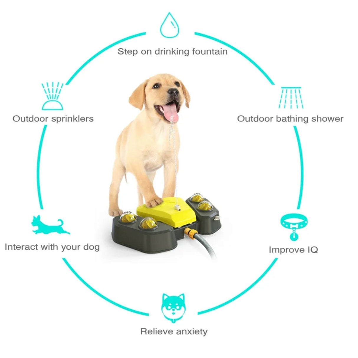 Bebedero de agua para perros, rociador automático para baño de perros al aire libre, comedero para perros, juguetes interactivos para mascotas de gran venta