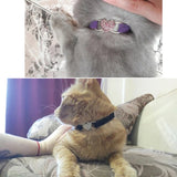 Heart Charm And Bell Cat Collar Safety Elastic Adjustable With Soft Velvet  8 Colors Pet Product Small Dog Collar