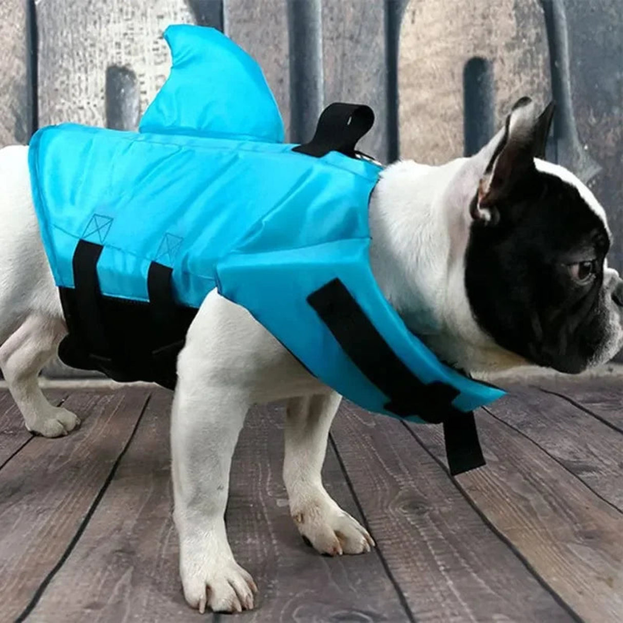 Dog Life Vest Summer Shark Pet Life Jacket Dogs Swimwear Lifeguard Dog Life Jacket Floating Preserver For Swimming Suit