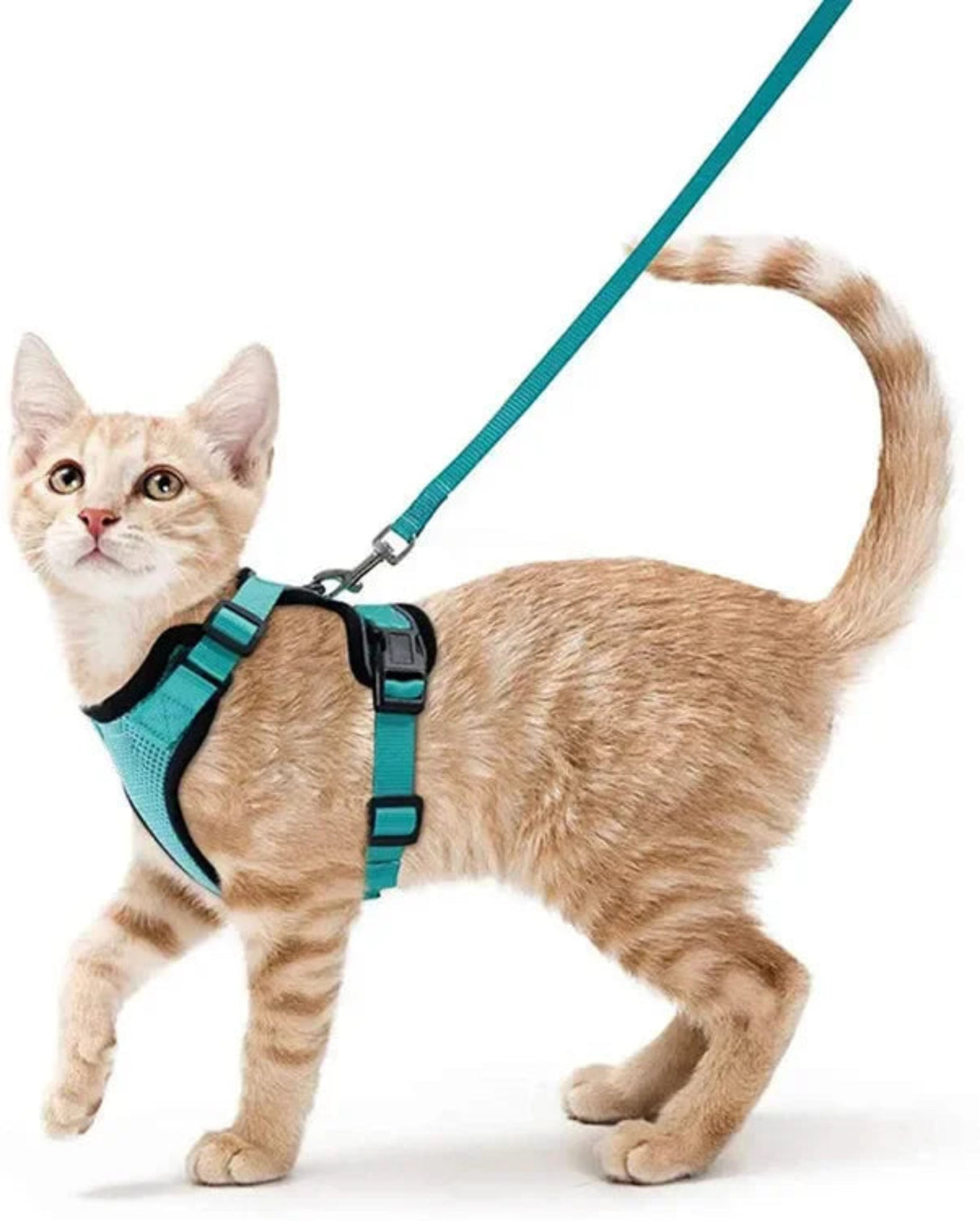 ATUBAN Cat Harness and Leash Set Stylish Escape Proof Cat Vest Harness Adjustable Breathable Pet Harness with Reflective Trim