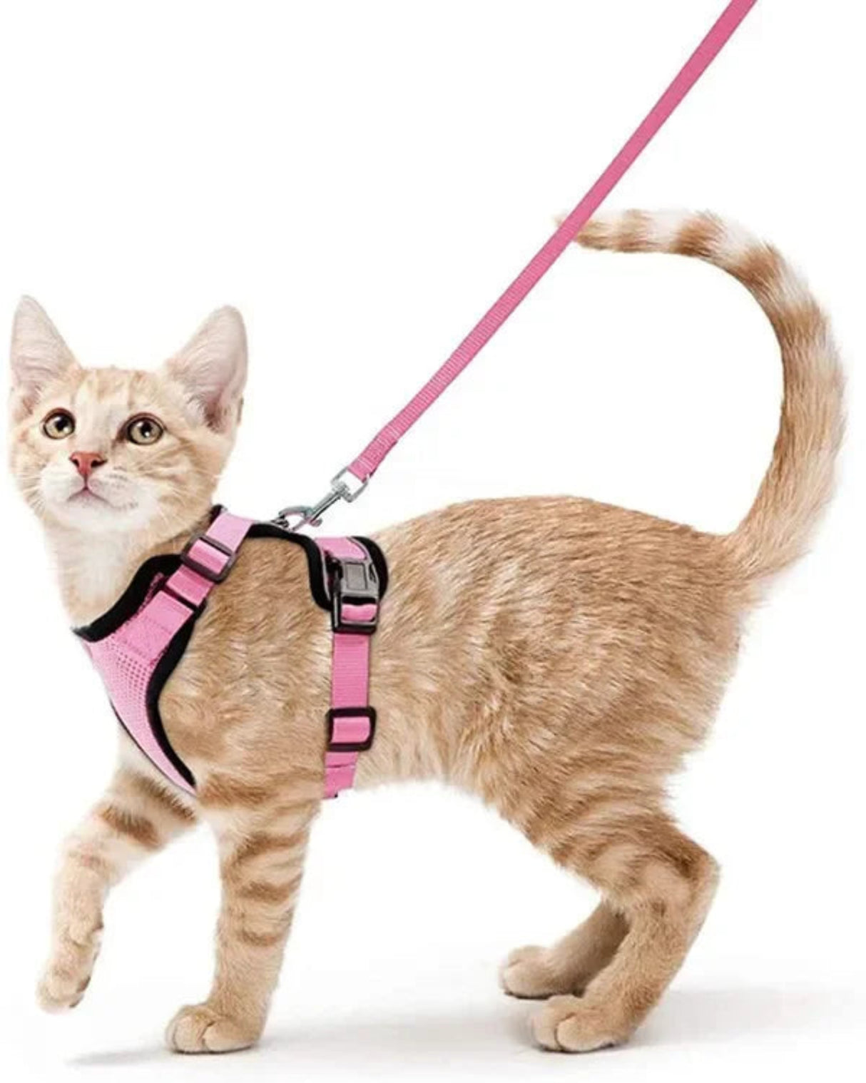 ATUBAN Cat Harness and Leash Set Stylish Escape Proof Cat Vest Harness Adjustable Breathable Pet Harness with Reflective Trim