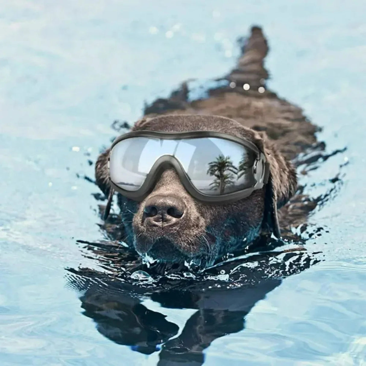 Gafas de sol ajustables para perros, gafas de sol anti-UV, protección para los ojos, gafas de sol negras para perros de uso generalizado, suministros para mascotas 