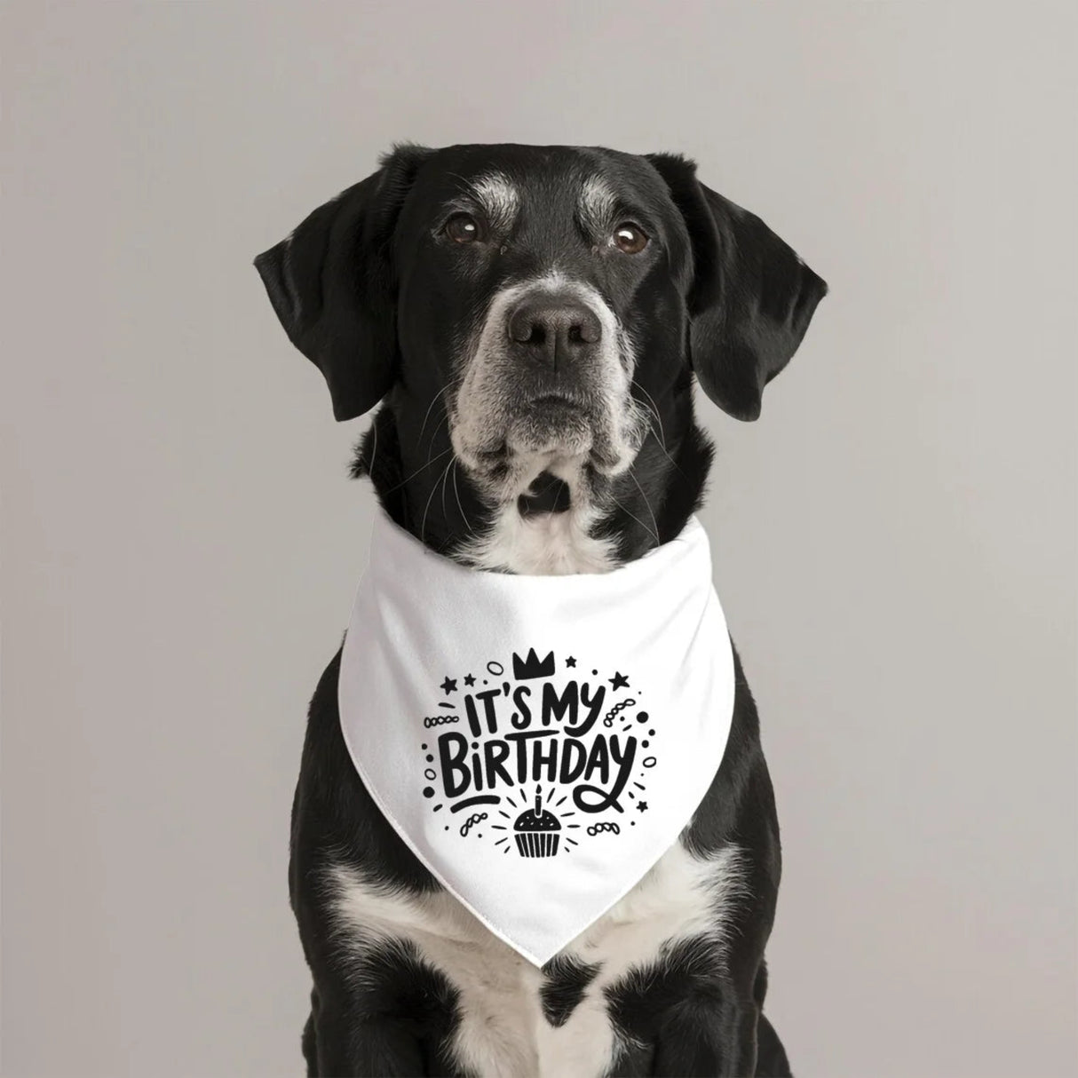 Happy Birthday Dog Bandana for Dog Birthday Party Photo Props Pet Accessory Wedding Supplies Decoration Gift for Pet 2025 New