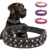 ECP037S Pet Dog Collar Durable Collar and Leashes Rivet Collar Set for Small Medium Large Dogs