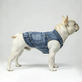 Spring Denim Dog Vest Shih Tzu Clothes for Small Dogs Yorkshire Terrier Puppy Jeans Jacket for Chihuahua Apparel Cat Clothes