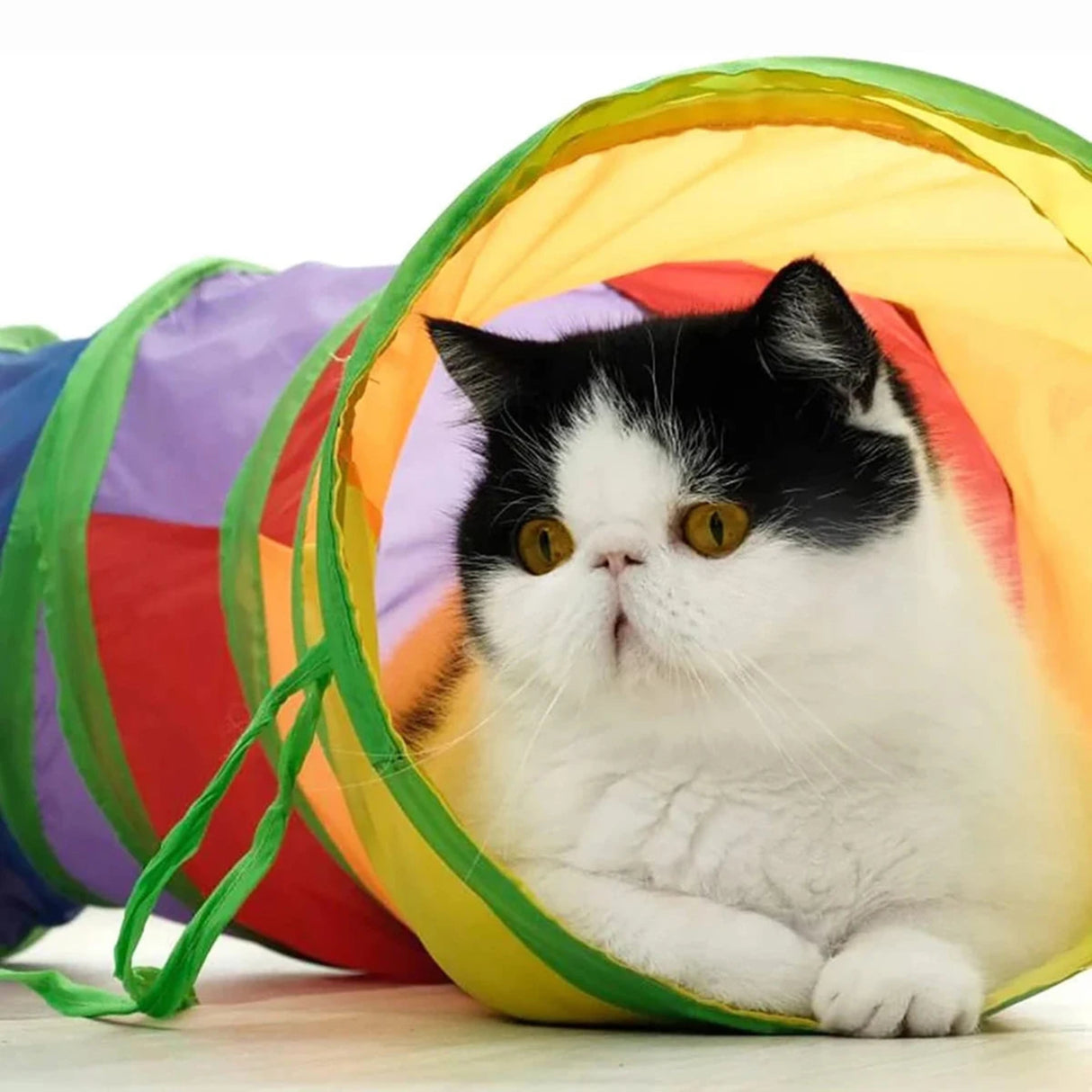 Cat Tunnel Tube Foldable Cat Toys Kitty Training Interactive Fun Toy Tunnel Bored for Puppy Kitten Pet Supplies Cat Accessories