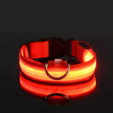 Collar para perro de nailon con luz LED de seguridad nocturna intermitente que brilla en la oscuridad Correa para perros Accesorios luminosos fluorescentes para perros