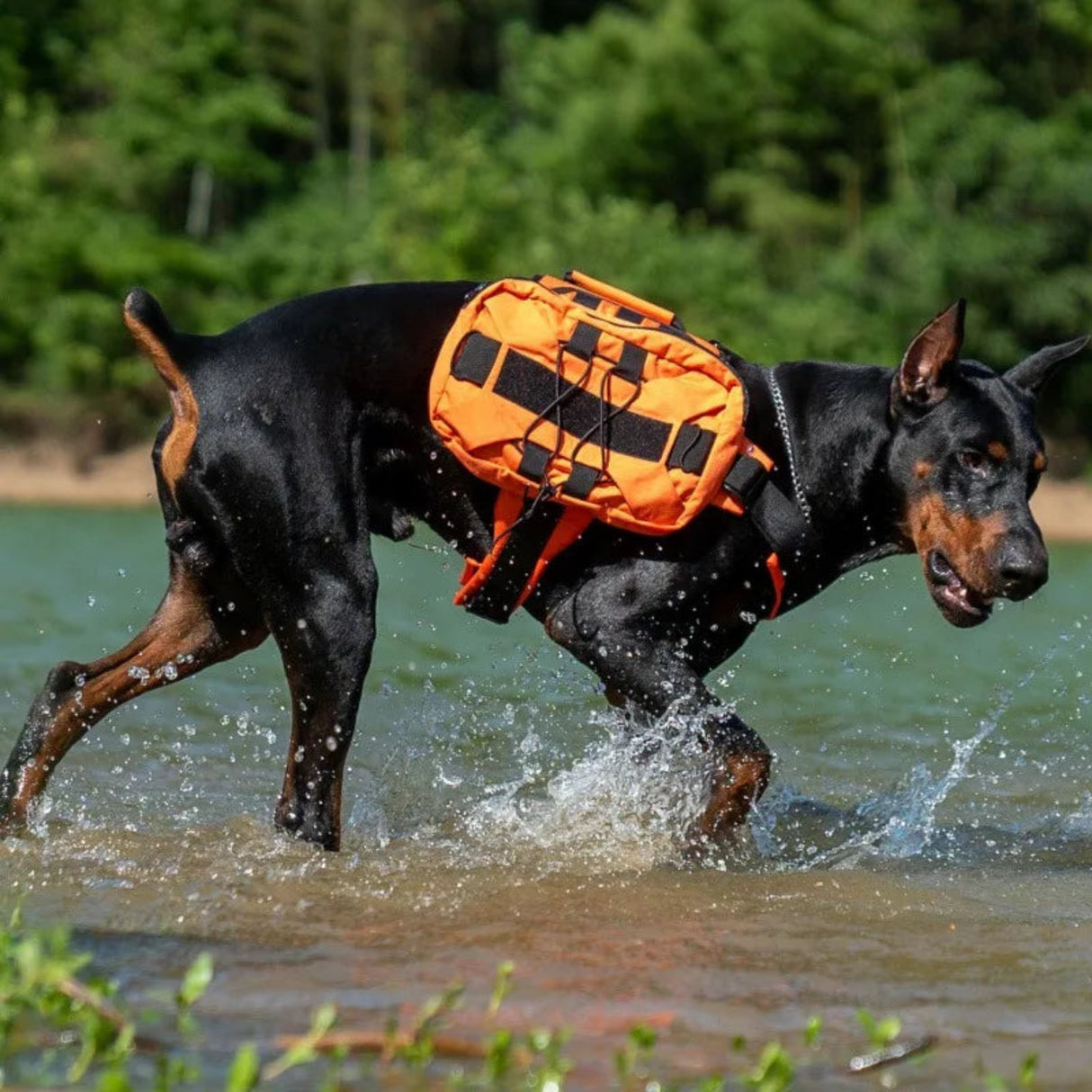 Pet Large Pocket Chest Strap Vest Reflective Dog Chain Explosion-Proof Impact Tactical Chest Strap Large Dog Chest Strap